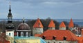 Roof of Tallinn old town