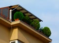 Balcony in residential building with ball shaped evergreen shrub guard