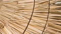 roof texture, thatched wall, golden straw, for multiple uses Royalty Free Stock Photo