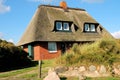 Roof thatched house2