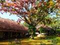 Roof Thatching in Kerala, India Royalty Free Stock Photo