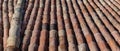 Roof tiles