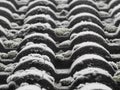 Roof tiles frosty moss