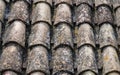 Roof tiles with lichens of a old traditional spanish village house. Royalty Free Stock Photo