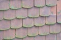 Roof Tiles with Moss Royalty Free Stock Photo