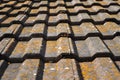 Roof tiles