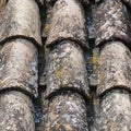 Old tiles with lichens texture. Old roof tiles on old house. Royalty Free Stock Photo