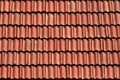 Roof Tiles Texture