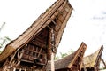 Roof of tongkonan with horns of buffaloes, traditional torajan buildings. Ethnic village Kete Kesu in Tana Toraja, Indonesia