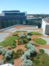 Roof top garden at Fiona Stanley Hospital Perth