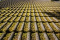 Roof top with moss grown Royalty Free Stock Photo