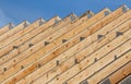 Roof trusses in a line