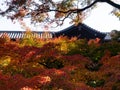 Roof of Tsutenkyo bridge with fall colors on the grounds of Tofukuji temple - Kyoto, Japan Royalty Free Stock Photo