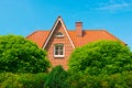 Roof of the typical german house hidden in bushes