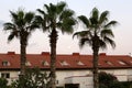 Roof - the upper structure of the building and structures