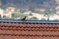 Roof - the upper structure of the building and structures