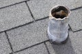 Roof Vent Stack that Needs Repair