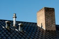 Roof with ventilation, flue terminal and chimney