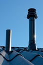 Roof with ventilation pipe and flue terminal