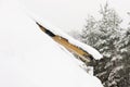 Roof window and snow