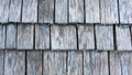 roof wood shingles in close-up gray natural background abstract background arranged in rows Royalty Free Stock Photo