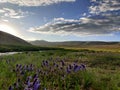 Roof of the world Deosai National Park Northern Area Gilgit Baltistan