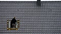 Roofer installing loft window