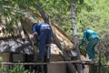 Roofer repairs the thatched roof of a house, botswana, africa