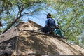 Roofer repairs the thatched roof of a house, botswana, africa