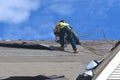 Roofers are laying down black tar paper in the process of shingling a new roof. Royalty Free Stock Photo