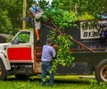 Roofers help load branchesÃ¢âÂª dump truck recyclables tree branches for mulch white red blue black green