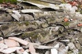 Roofing asbestos panels