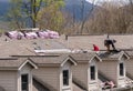 Roofing contractor removing the old shingles from a roof ready for reroofing