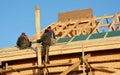 Roofing Contractors Installing House Framework, Roof Board for Asphalt Shingles. Roofing Contractor. Roofing Construction. Roof Royalty Free Stock Photo