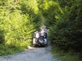 A roofless jeep carries passengers along a gravel road in the middle of a dense green deciduous forest on a summer day Royalty Free Stock Photo