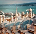 Roofs of the bath behind Suleymaniye Mosque. Istanbul