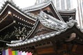 Roofs of the buddhist temple