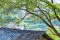 Roofs of Chinese old Village houses