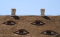 Roofs eyes