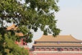 Roofs of The Forbidden city