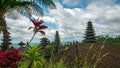 Roofs in Pura Besakih Temple in Bali Island, Indonesia Royalty Free Stock Photo