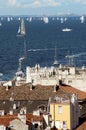 Roofs of Trieste city with the Barcolana regatta Royalty Free Stock Photo