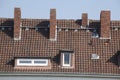 Roofs, windows and chimneys