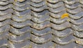 Rooftiles on a dutch house Royalty Free Stock Photo
