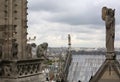 rooftop of Cathedral of Notre Dame in Paris before the Fire Royalty Free Stock Photo