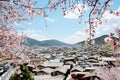 Rooftop and cherry blossom branch view of Shangrila Old town , Shangri-la , Zhongdian , Yunnan province , China - Traditional Arch