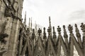 Rooftop Detail Duomo di Milano