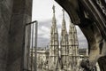 Rooftop Detail Duomo di Milano