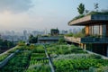 Lush Rooftop Garden Blends with Urban Horizon AI Generated