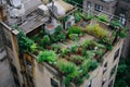 Rooftop Garden. Lush rooftop garden oasis with vibrant greenery, providing urban dwellers with a serene and sustainable retreat